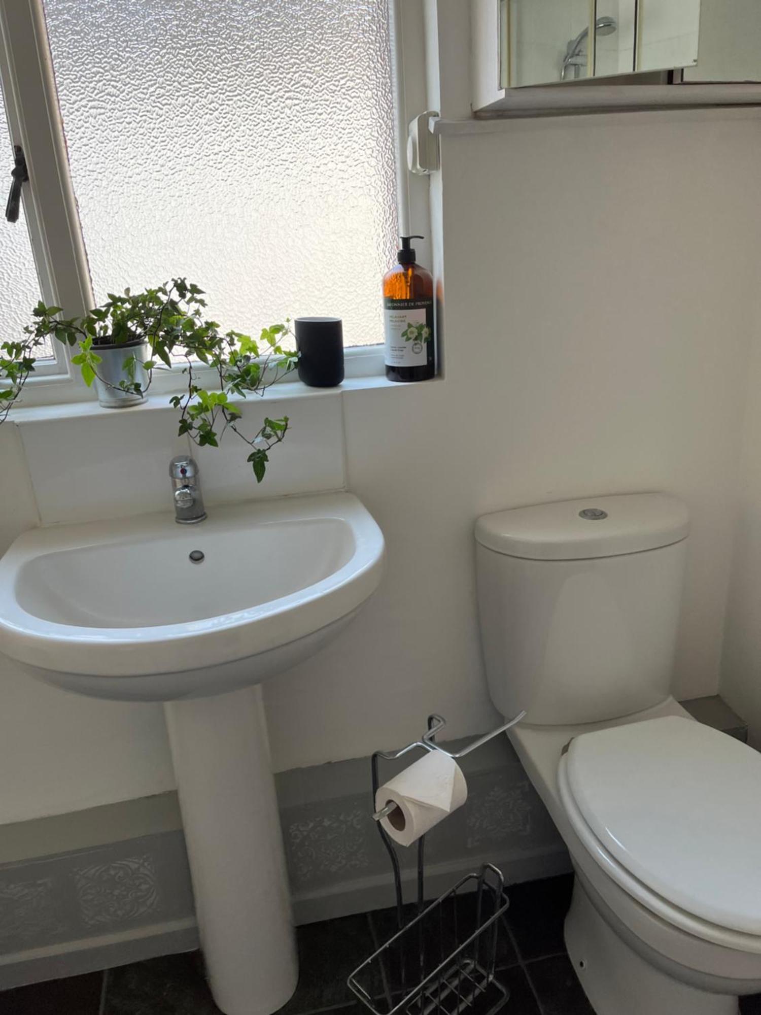 Elderberry Apartment Belfast Buitenkant foto